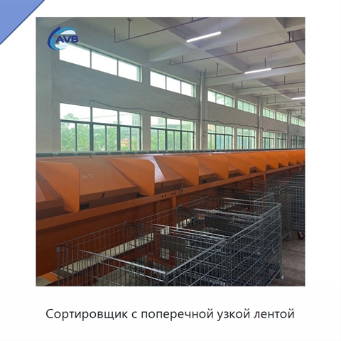 Сортировщик с поперечной узкой лентой