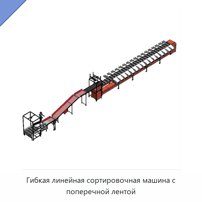 Гибкая линейная сортировочная машина с поперечной лентой — Специальные конвейеры