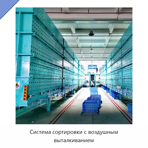 Система сортировки с воздушным выталкиванием