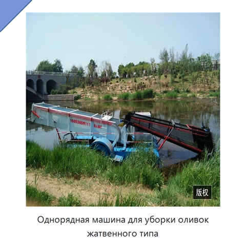 Однорядная машина для уборки оливок жатвенного типа