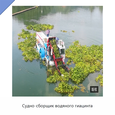 Судно-сборщик водяного гиацинта