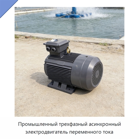 Промышленный трехфазный асинхронный электродвигатель переменного тока