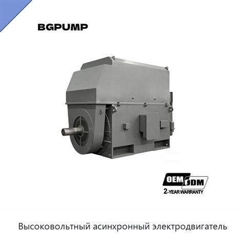 Высоковольтный асинхронный электродвигатель