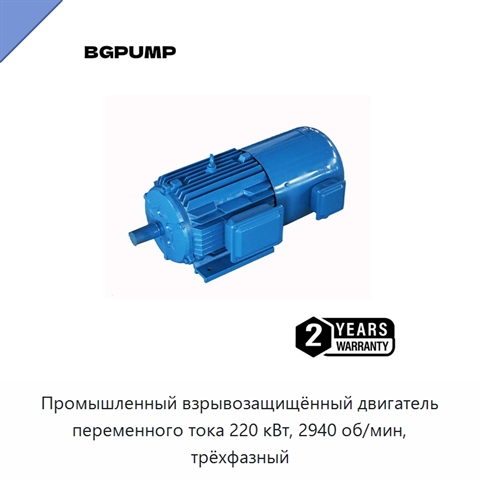 Промышленный взрывозащищённый двигатель переменного тока 220 кВт, 2940 об/мин, трёхфазный