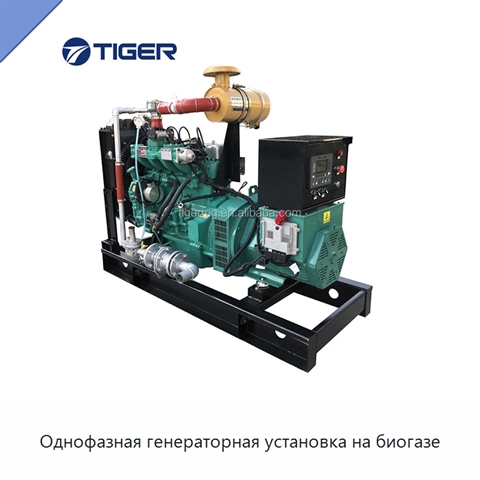 Однофазная генераторная установка на биогазе