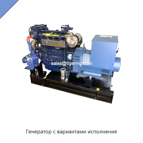 Генератор с вариантами исполнения