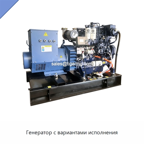 Генератор с вариантами исполнения