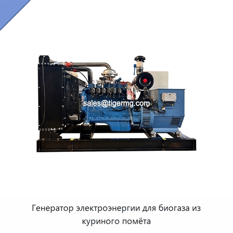 Генератор электроэнергии для биогаза из куриного помёта