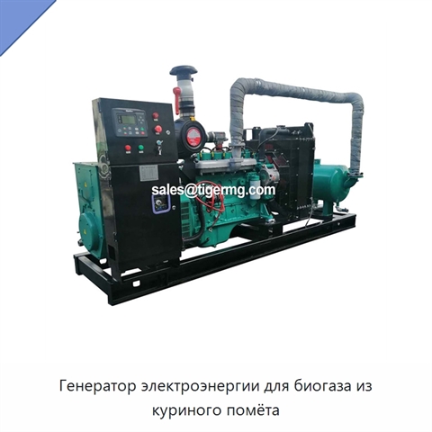 Генератор электроэнергии для биогаза из куриного помёта