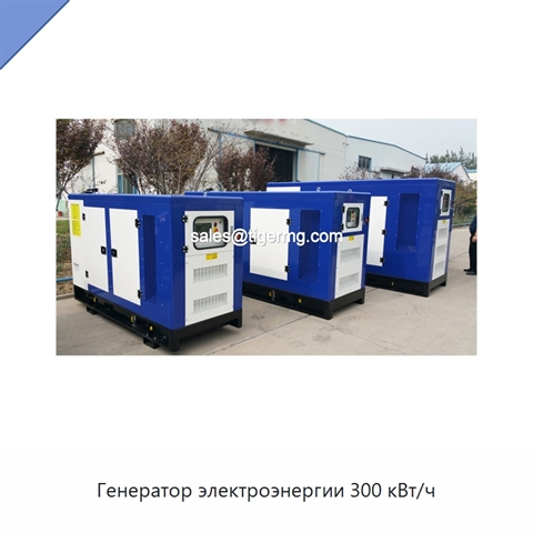 Генератор электроэнергии 300 кВт/ч