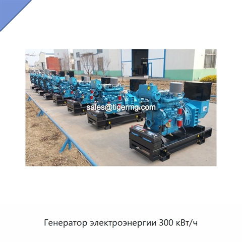 Генератор электроэнергии 300 кВт/ч