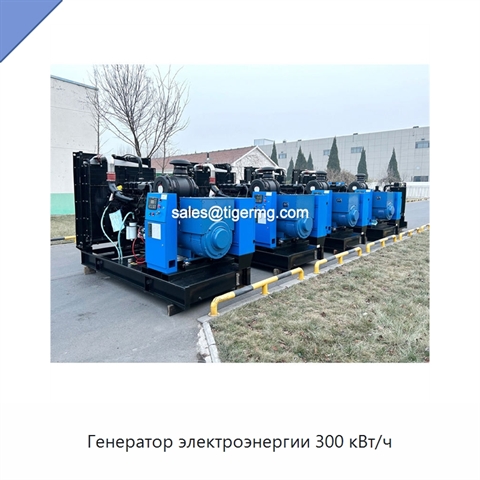 Генератор электроэнергии 300 кВт/ч