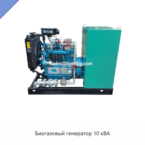 Биогазовый генератор 10 кВА