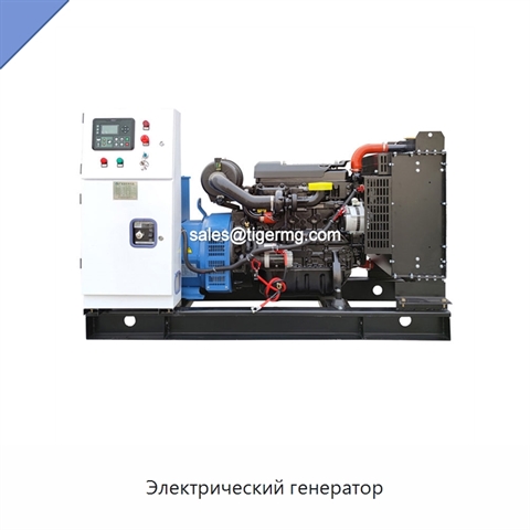 Электрический генератор