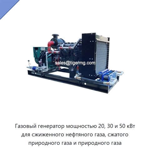 Газовый генератор мощностью 20, 30 и 50 кВт для сжиженного нефтяного газа, сжатого природного газа и природного газа