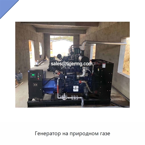 Генератор на природном газе