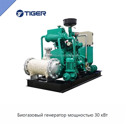 Биогазовый генератор мощностью 30 кВт