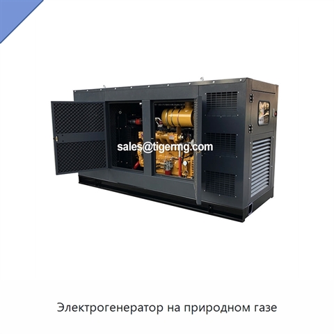 Электрогенератор на природном газе