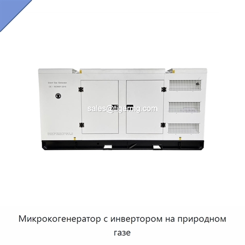 Микрокогенератор с инвертором на природном газе