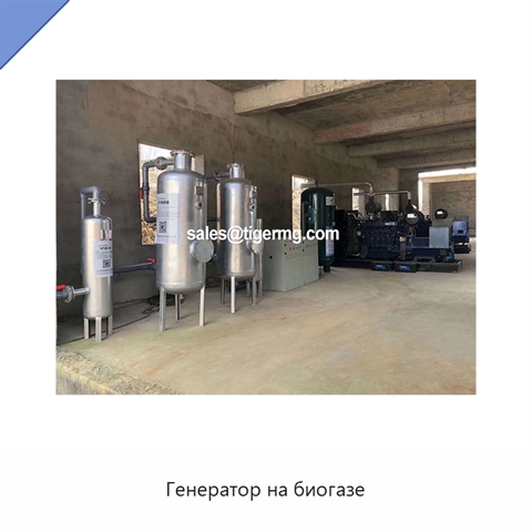 Генератор на биогазе
