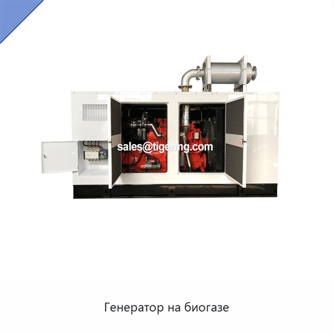 Генератор на биогазе