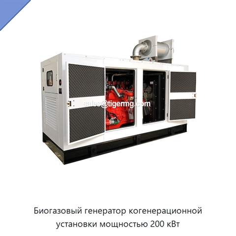 Биогазовый генератор когенерационной установки мощностью 200 кВт