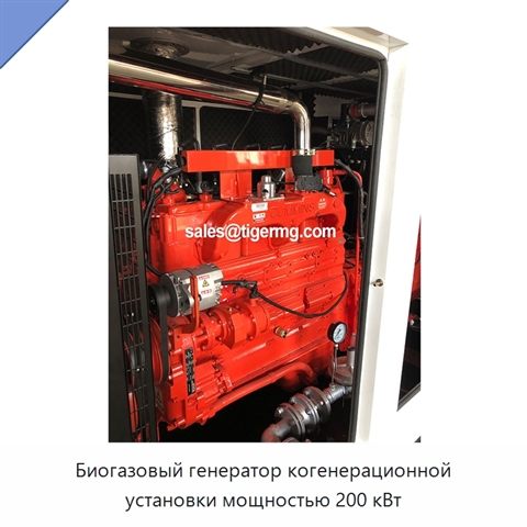 Биогазовый генератор когенерационной установки мощностью 200 кВт