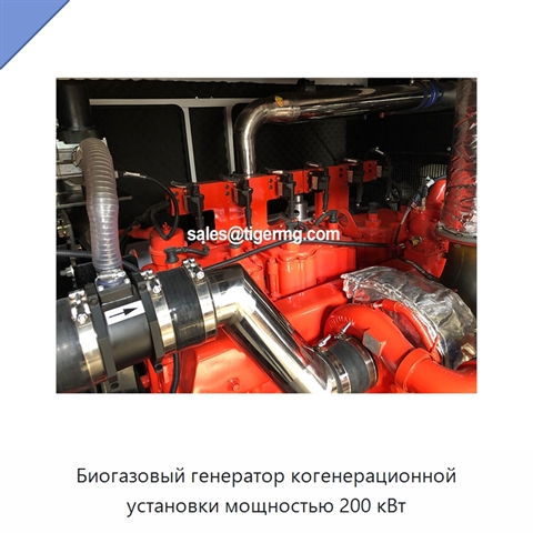 Биогазовый генератор когенерационной установки мощностью 200 кВт