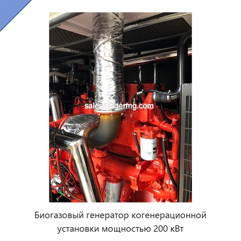 Биогазовый генератор когенерационной установки мощностью 200 кВт