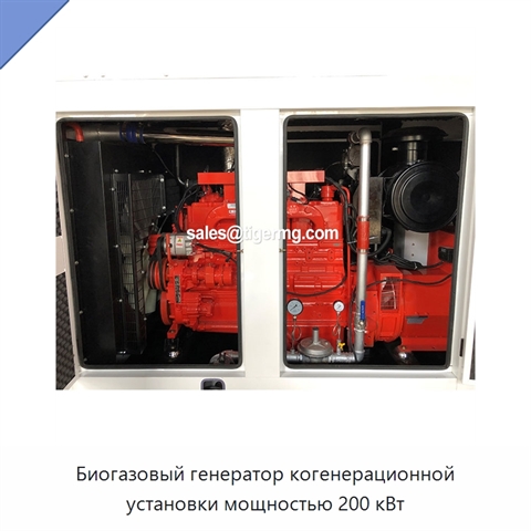 Биогазовый генератор когенерационной установки мощностью 200 кВт