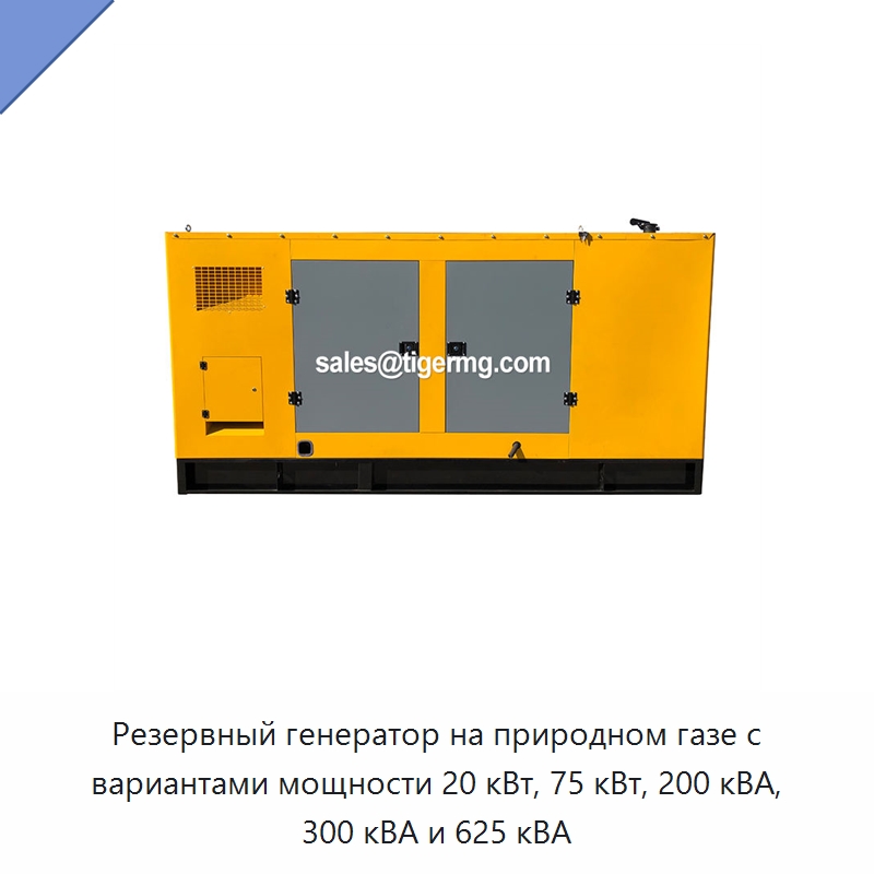 Резервный генератор на природном газе с вариантами мощности 20 кВт, 75 кВт, 200 кВА, 300 кВА и 625 кВА — Газотурбинные генераторы