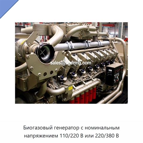 Биогазовый генератор с номинальным напряжением 110/220 В или 220/380 В