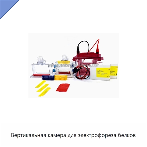 Вертикальная камера для электрофореза белков
