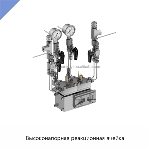 Высоконапорная реакционная ячейка