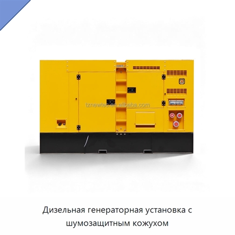 Дизельная генераторная установка с шумозащитным кожухом