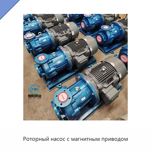 Роторный насос с магнитным приводом