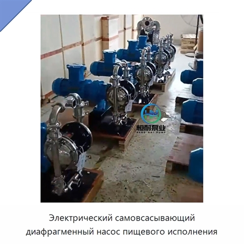 Электрический самовсасывающий диафрагменный насос пищевого исполнения