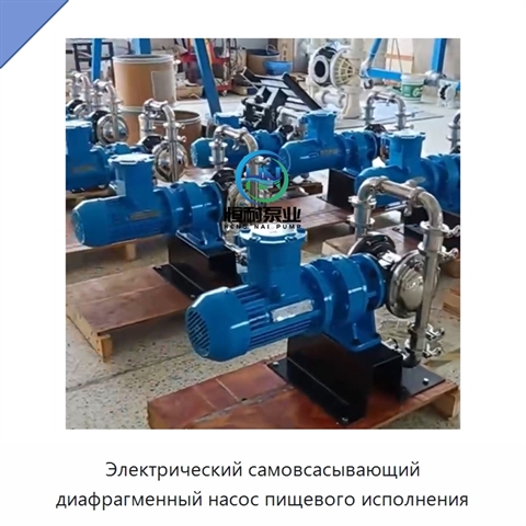 Электрический самовсасывающий диафрагменный насос пищевого исполнения