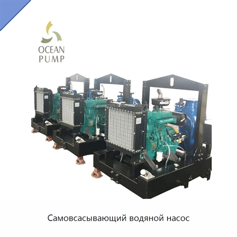 Самовсасывающий водяной насос
