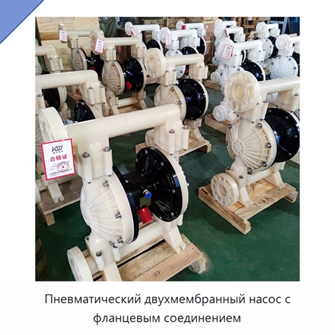 Пневматический двухмембранный насос с фланцевым соединением