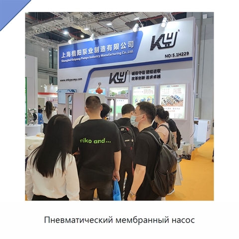 Пневматический мембранный насос